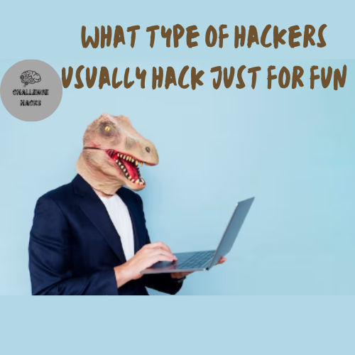 hackers usually hack just for fun