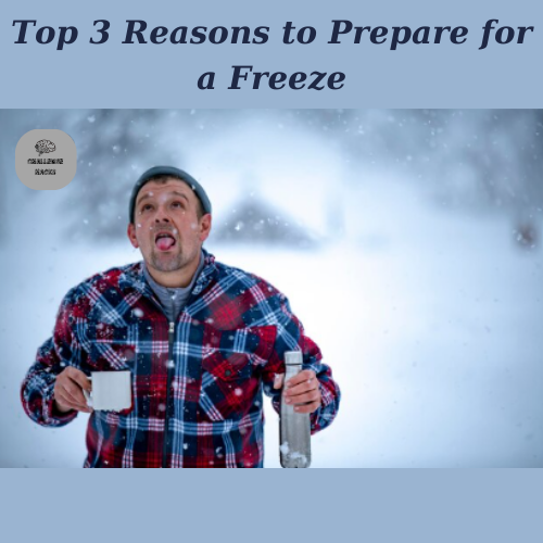Reasons to Prepare for a Freeze